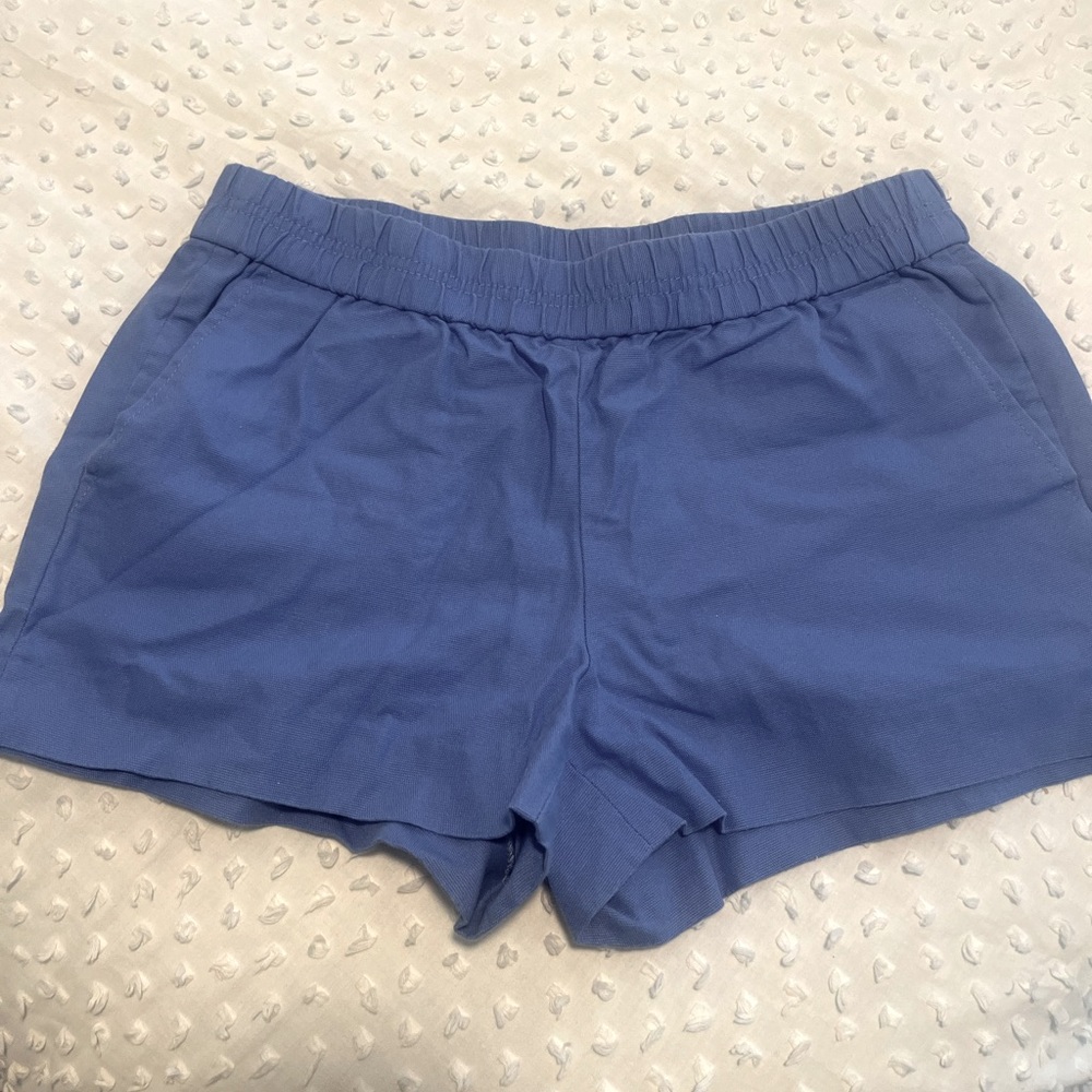 Periwinkle J Crew Shorts